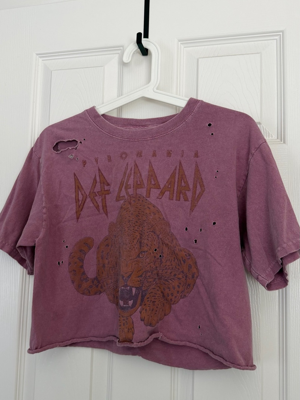 Def Leppard Graphic Crop Tee - Dusty Mauve